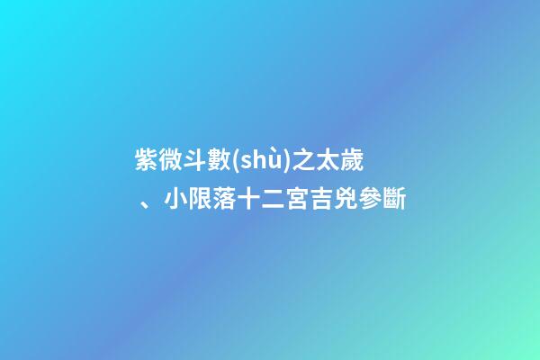 紫微斗數(shù)之太歲、小限落十二宮吉兇參斷
